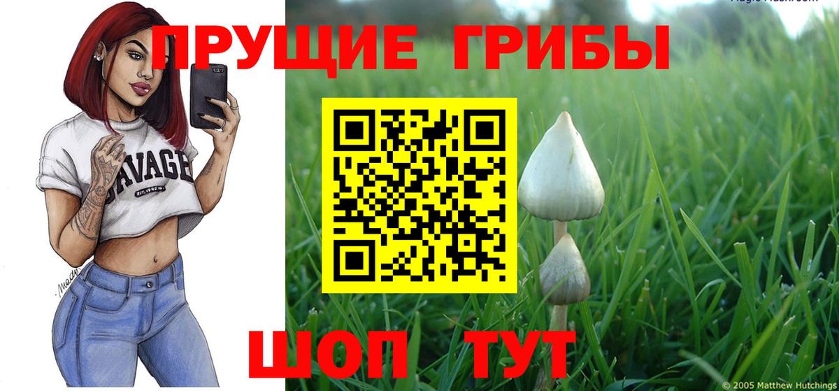 Тихорецк  где найти   Вход с VPN  Галлюциногенные грибы GOLDEN TEACHER 