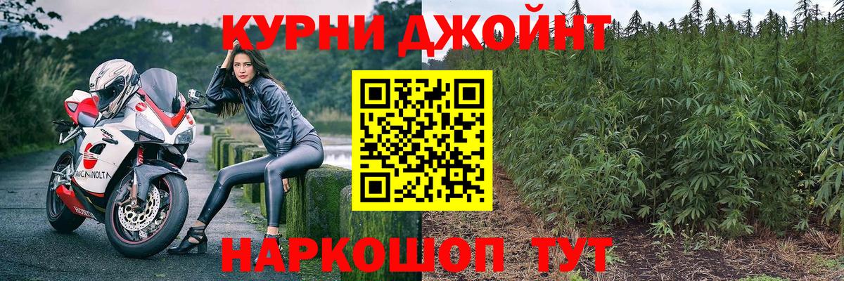 МАРИХУАНА MAZAR  Бошки марихуана гибрид  Бошки марихуана THC 21%  Тихорецк  Марихуана гибрид  Вход с VPN 